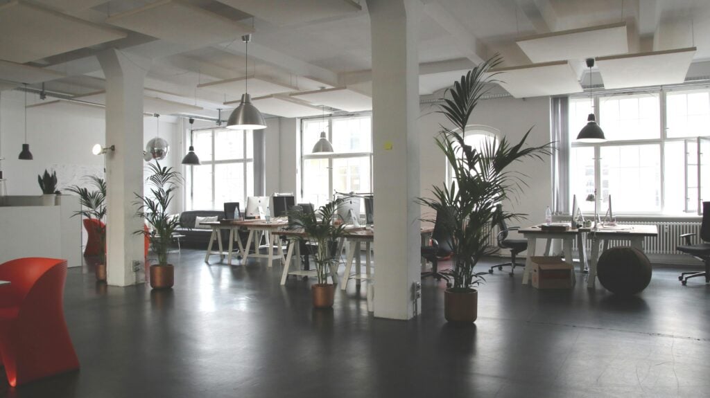 Modern open-plan office in TX with large windows, several desks and chairs, potted plants, and pendant lights. The space is bright and minimalistic, featuring ample natural light and professional carpet cleaning—ideal for Houston County workplaces.