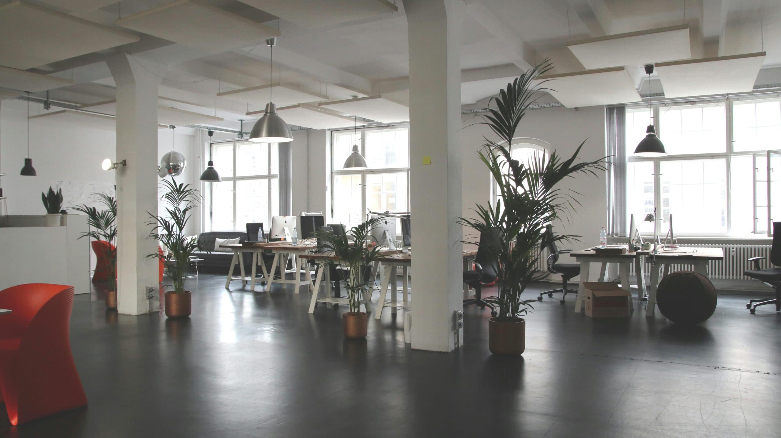Modern open-plan office in TX with large windows, several desks and chairs, potted plants, and pendant lights. The space is bright and minimalistic, featuring ample natural light and professional carpet cleaning—ideal for Houston County workplaces.